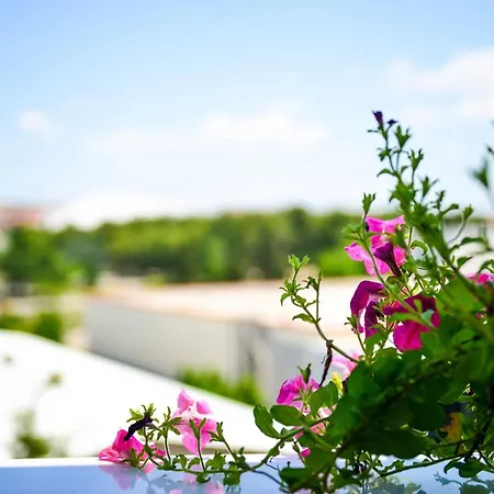 Apartment Zararia